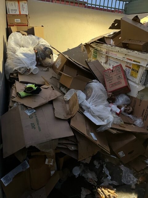 dumpster enclosure cleanup