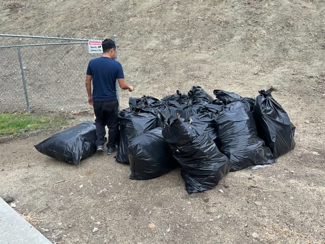 bagged trash removal