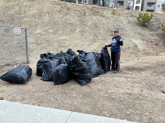 trash bags removal